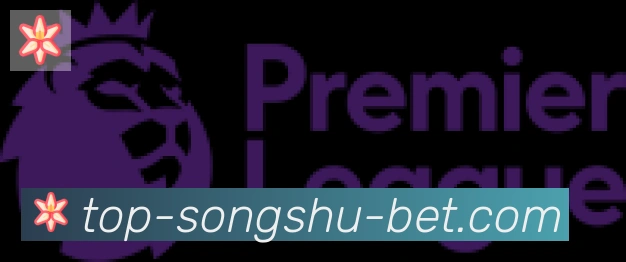 松鼠直播合作伙伴